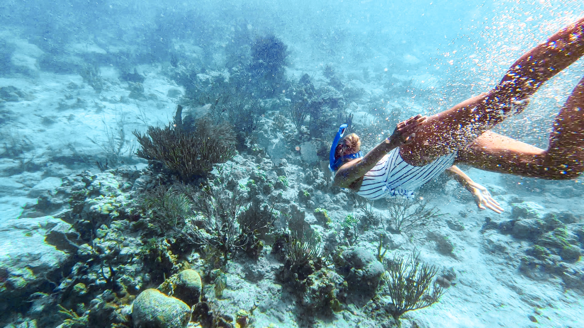 Salt Pond Bay Beach - St John's Best Snorkeling Spot - Jaychel Adventure