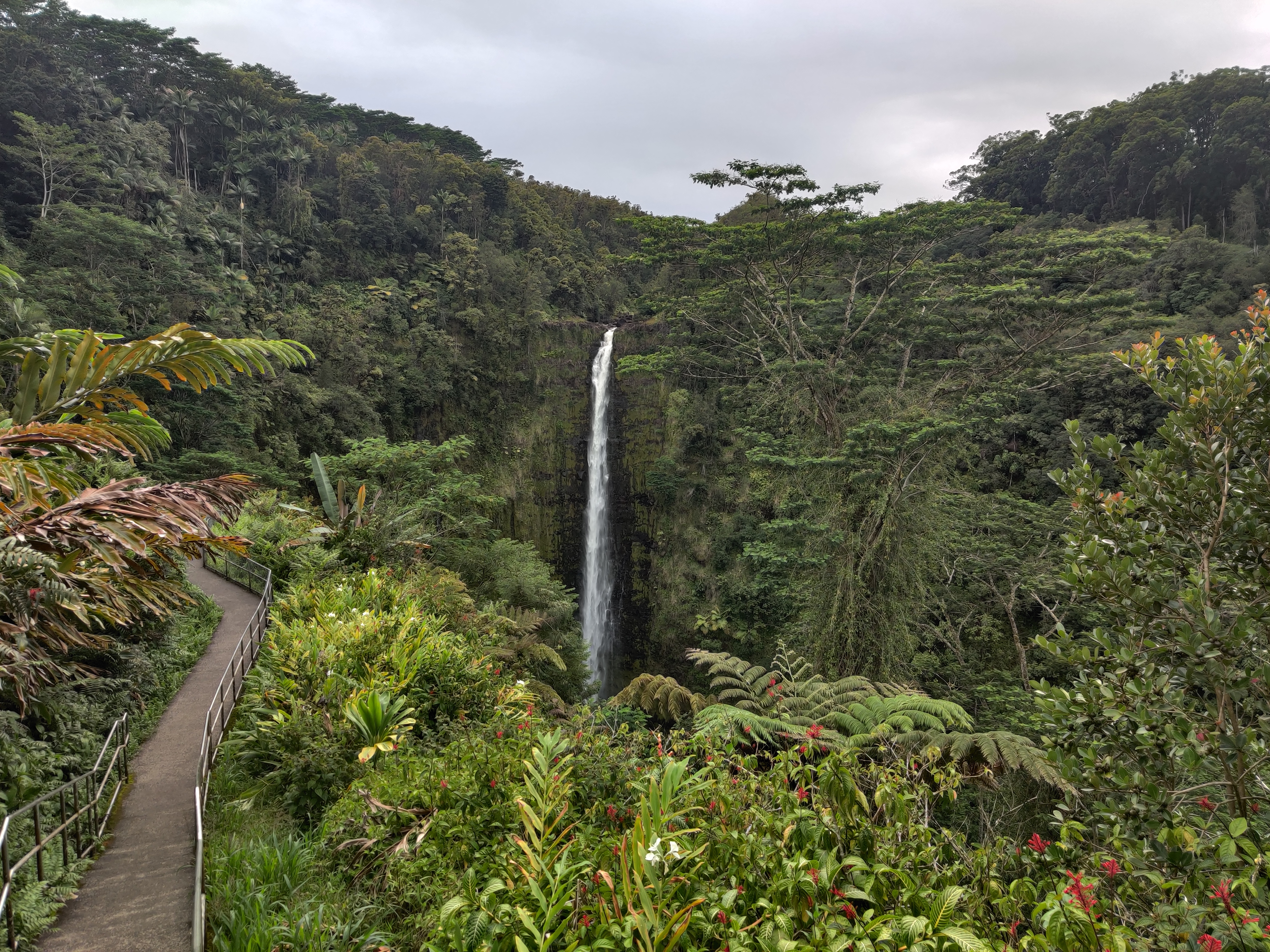 Akaka Falls on the Big Island, Hawaii